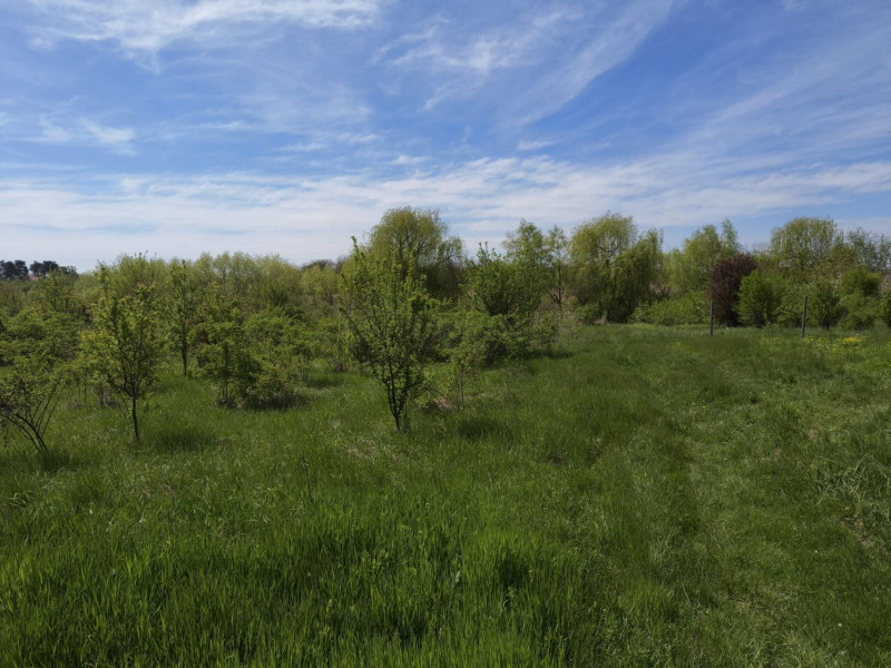 Teren intravilan 664 mp – Periș, Ilfov | Locație liniștită, ideal pentru casă