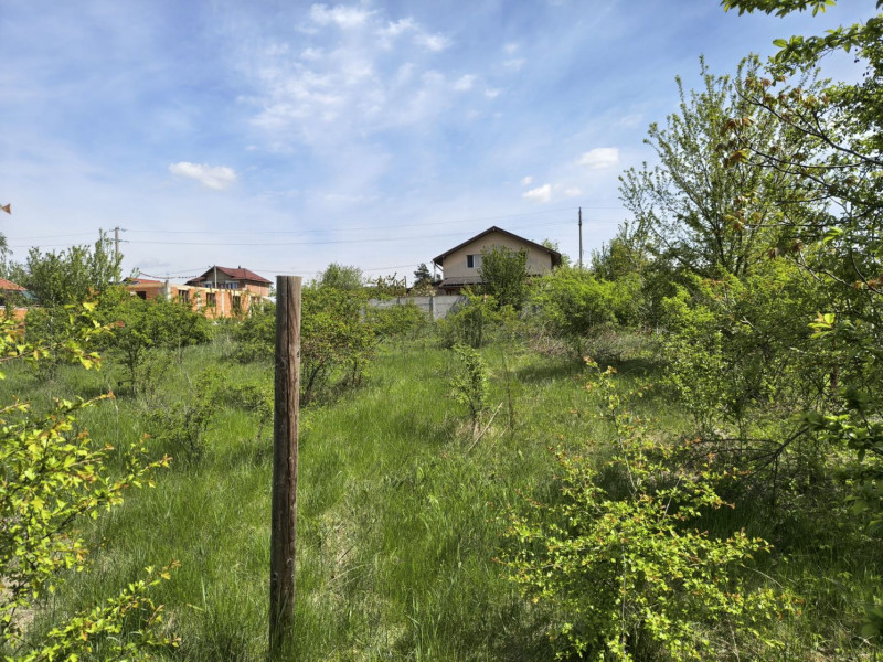 Teren intravilan 664 mp – Periș, Ilfov | Locație liniștită, ideal pentru casă