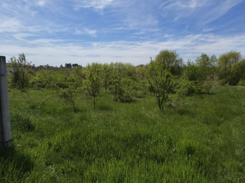 Teren intravilan 664 mp – Periș, Ilfov | Locație liniștită, ideal pentru casă