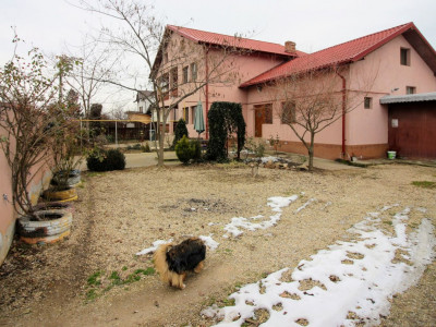 Bacu/ Joita, vila spatioasa 292 mp, 7 camere, teren 540 mp, deschidere 28 ml